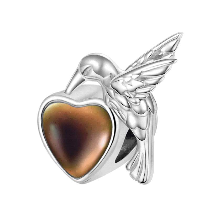 Hummingbird Mood Cham