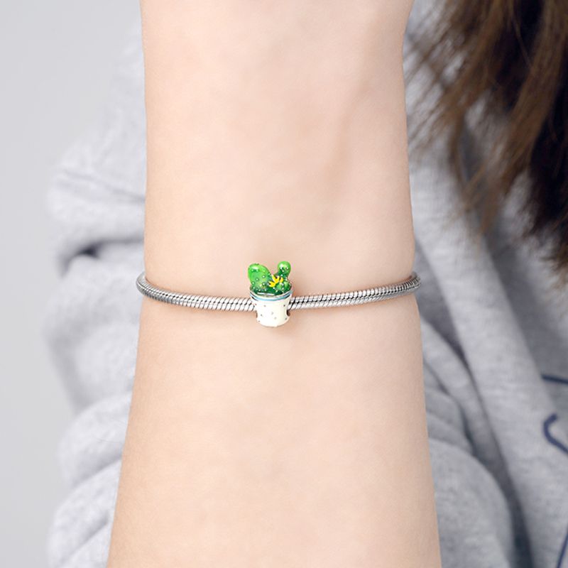 Cactus Charm