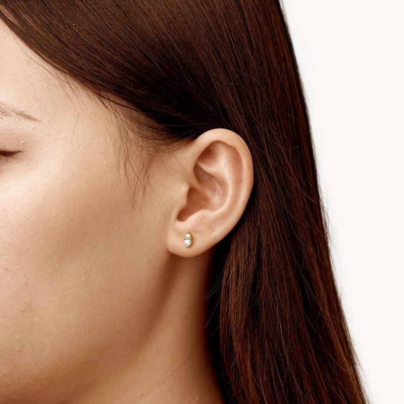 Two Round Stone Earrings