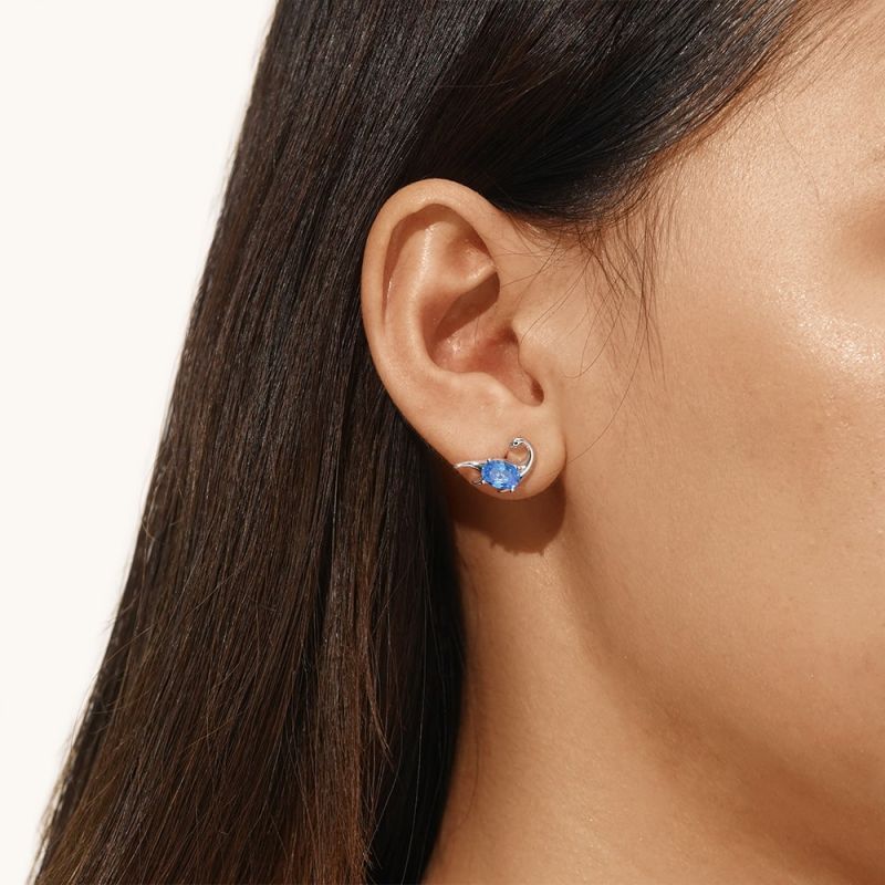 Plesiosaurs Stud Earrings
