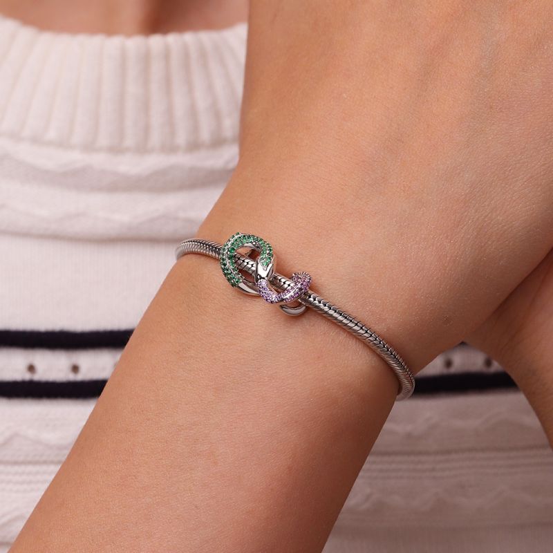 Ouroboros Charm