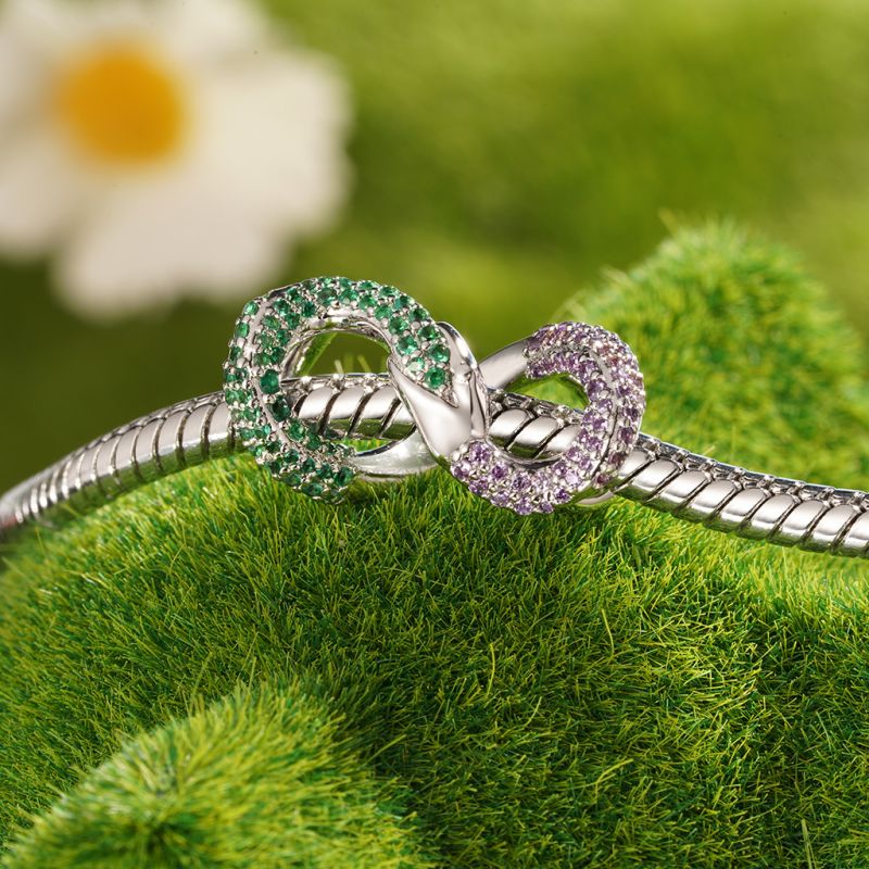 Ouroboros Charm