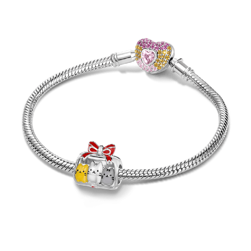 Cats Gift Box Charm