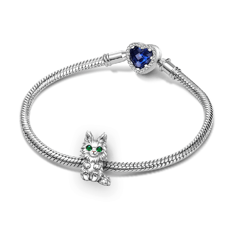 Maine Coon Cat Charm