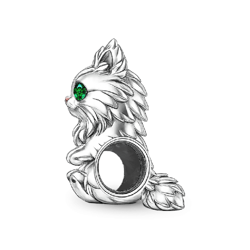 Maine Coon Cat Charm