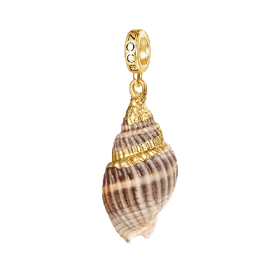 Natural Ocean Shell Pendant